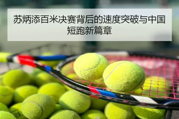 苏炳添百米决赛背后的速度突破与中国短跑新篇章