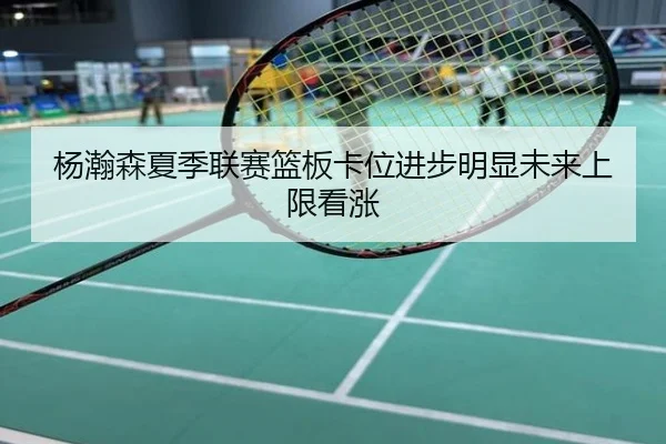 杨瀚森夏季联赛篮板卡位进步明显未来上限看涨