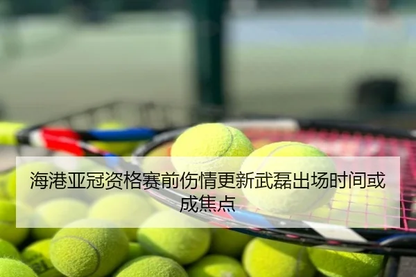 海港亚冠资格赛前伤情更新武磊出场时间或成焦点