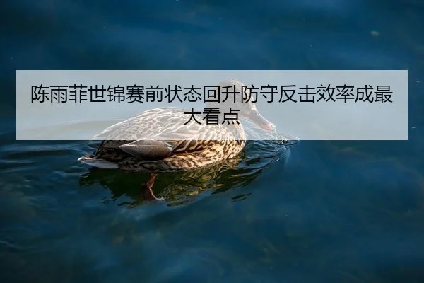 陈雨菲世锦赛前状态回升防守反击效率成最大看点