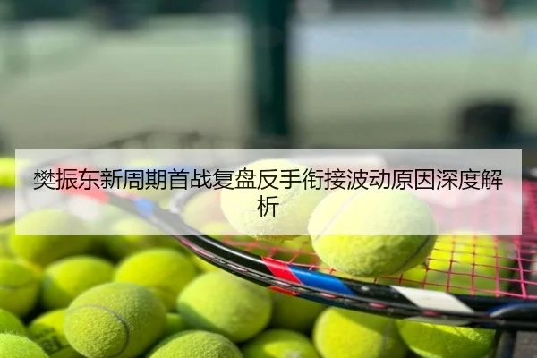 樊振东新周期首战复盘反手衔接波动原因深度解析